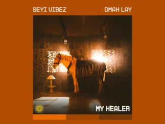 Seyi Vibez – MY HEALER Mp3