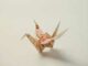 kesha - ORIGAMI!