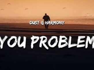 Dust & Harmony - You problem